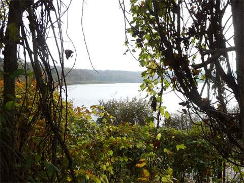 Hinter dem Ostseedeich: Der herbstliche Klpinsee.