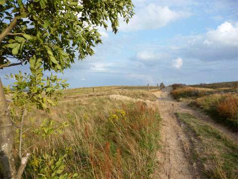 Bernsteinbad Loddin im Herbst: Wunderbare Farben in einer harmonischen Landschaft.