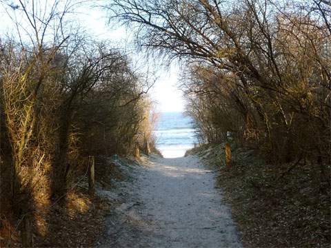 Strandhafer, Hecke oder Hochwald: Schn sind immer wieder die vielgestaltigen Strandzugnge.