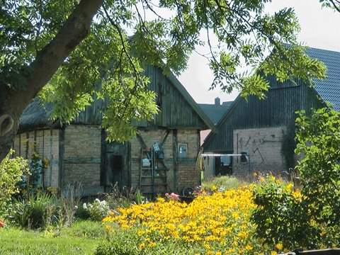 Bauernhof am Peenestrom: Ferienhaus und Ferienwohnungen.