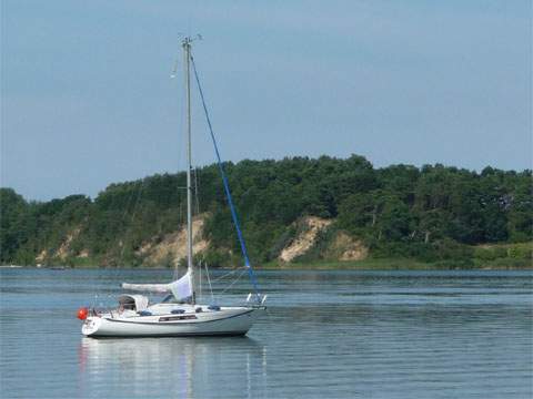 Sommerstimmung auf dem Achterwasser am Loddiner Hft: Segeltrn um die Insel Usedom.