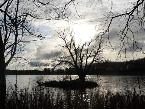 Dramatischer Effekt: Der Klpinsee im Winter — Winterurlaub in den Bernsteinbdern.