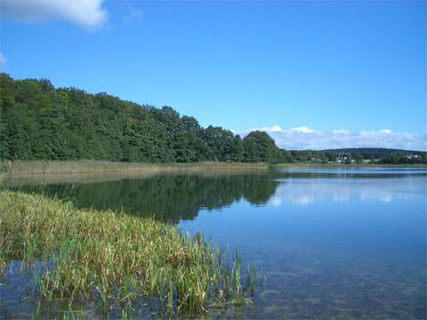 Der Kleine Krebssee: Einzigartiges Landschaftspanorama im Hinterland der Usedomer Kaiserbder.