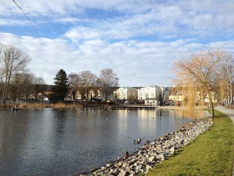 Kaiserbad Bansin: Ferienhuser am Schloonsee.