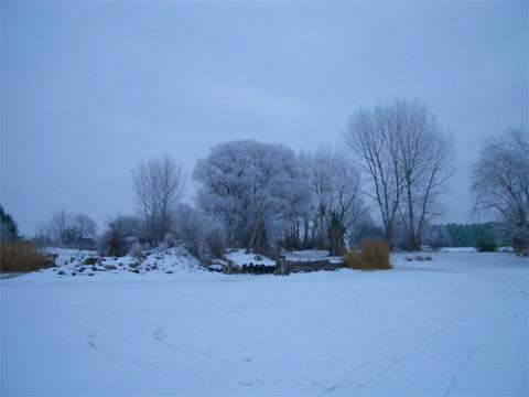 Winterurlaub am Peenestrom: Der kleine Hafen Warthe auf dem Lieper Winkel Usedoms.