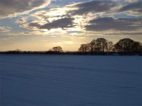 Wiesen und Bume: Winterabend am Achterwasser bei Loddin.