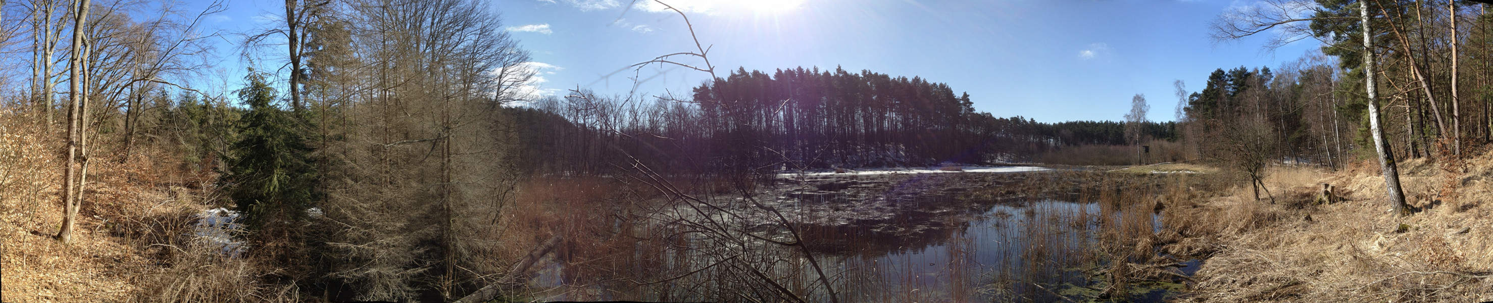 Naturpark Insel Usedom: Das Zerninmoor im Osten der Ostseeinsel.