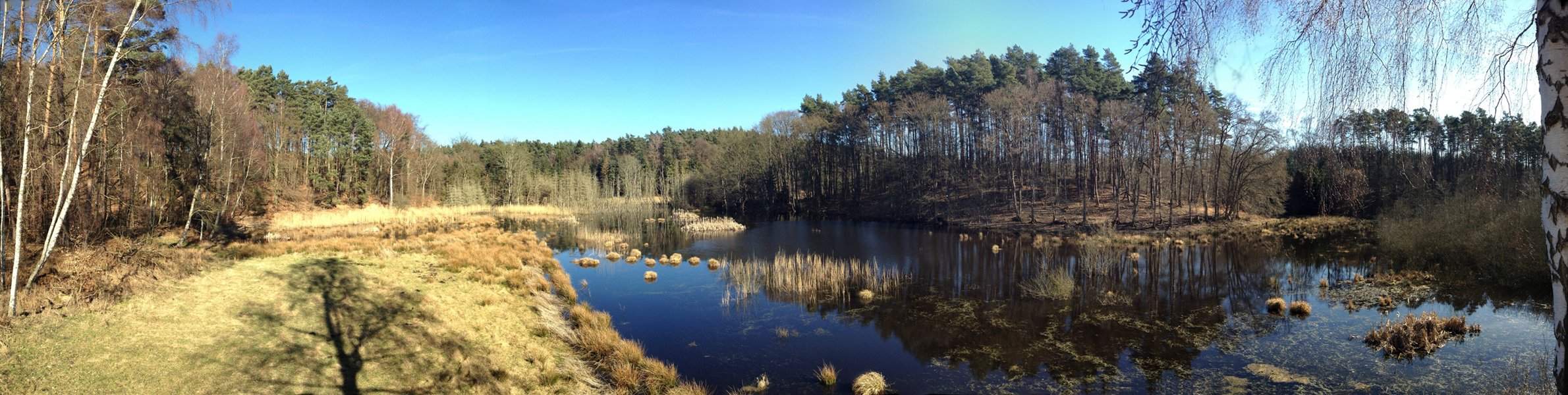 Das Zerninmoor im Osten Usedoms ist ein Naturparadies.