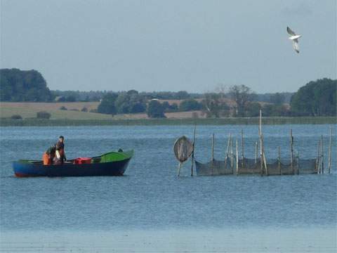 Usedomer Winkel, die Stadt Usedom, der Usedomer See und der Usedomer Stadtforst.